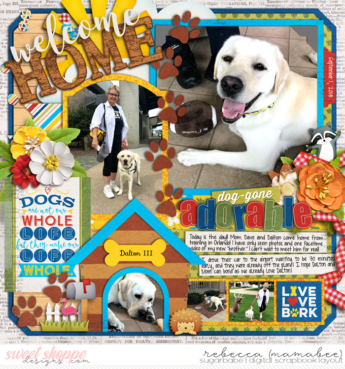 2018_9_1-welcome-home-dalton-mydog