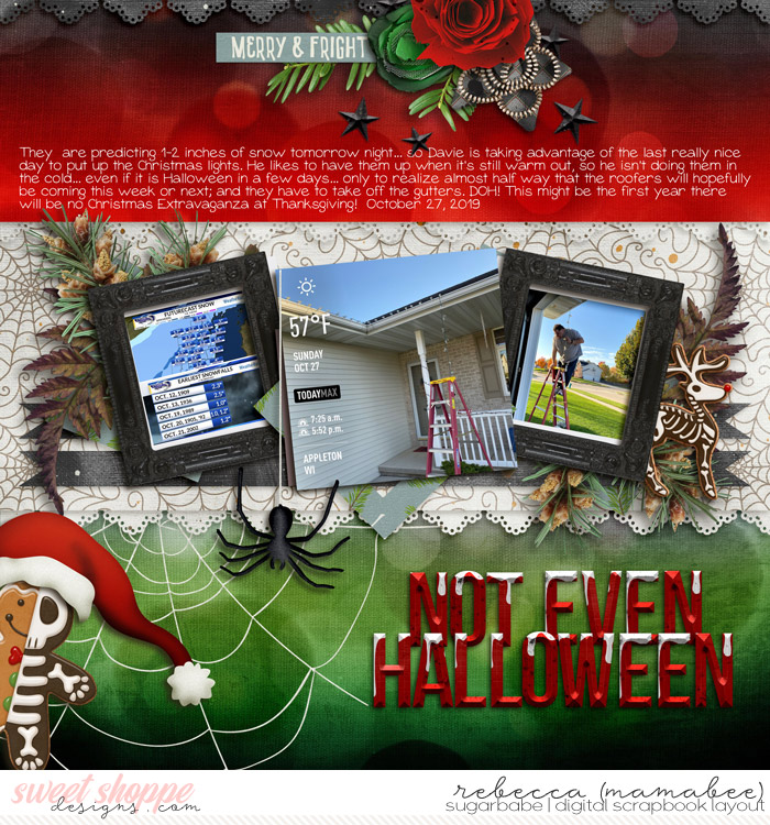 2019_10_27-christmas-lights-up-wendyp-newmemories-no3-templ2