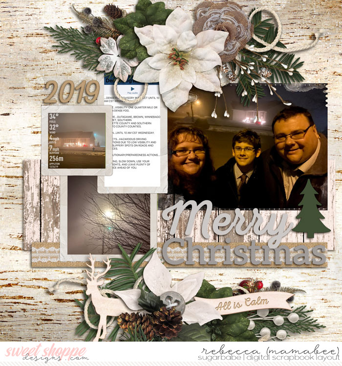 2019_12_24-foggy-christmas