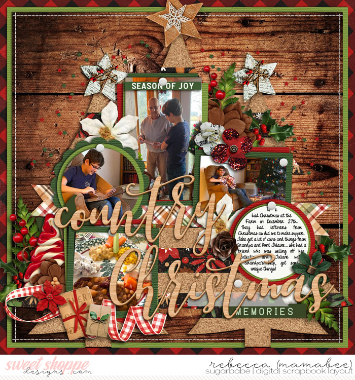 2019_12_27-christmas-at-the-farm-cschneider-set254pg1