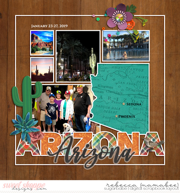 2019_1_23-cover-page-ljs-statetemplate-arizona2