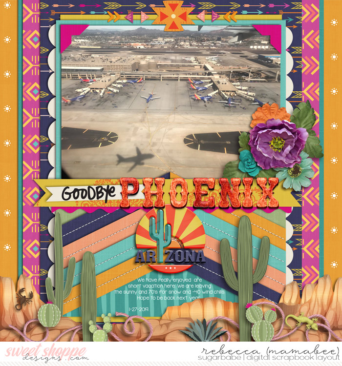 2019_1_27-good-bye-phoenix