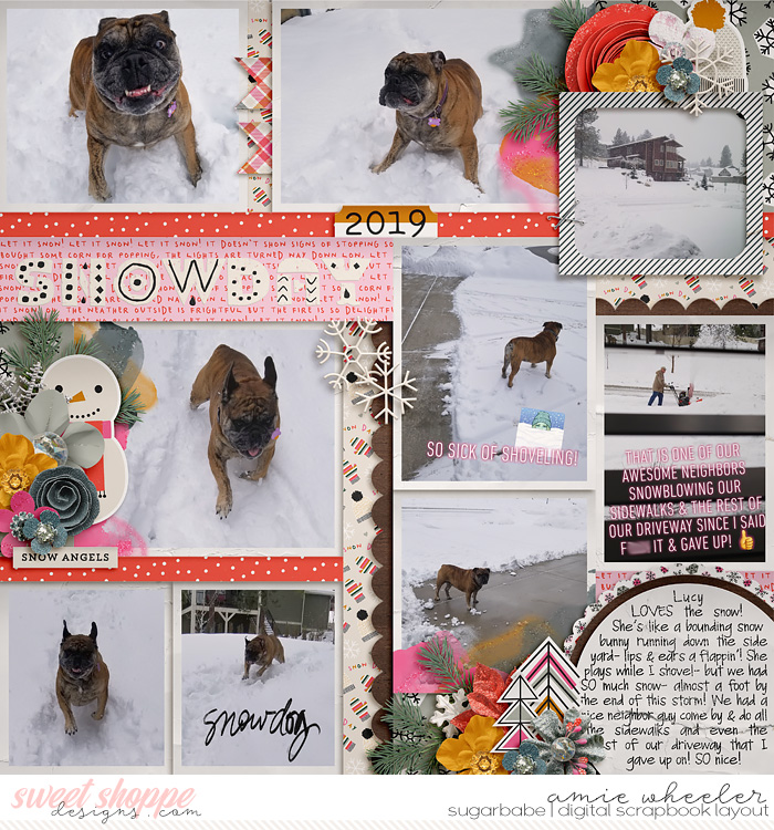 2019_2_Snowday-babe