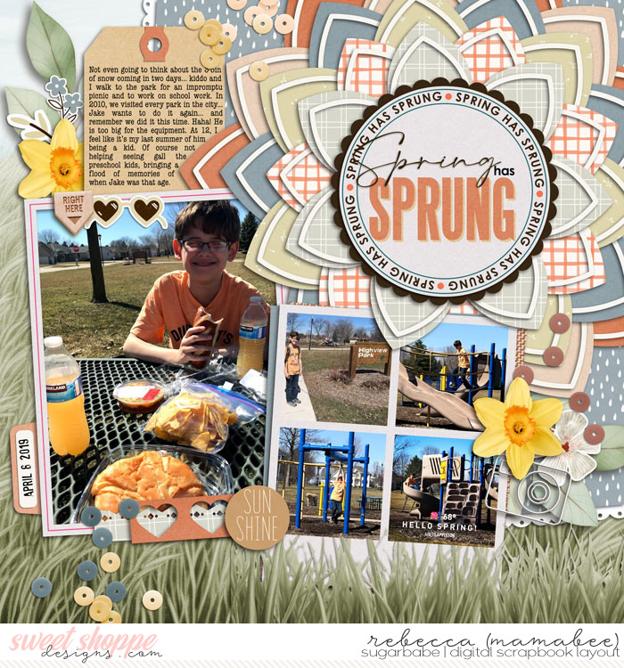 2019_4_8-spring-picnic-cschneider-AYSspringpg1