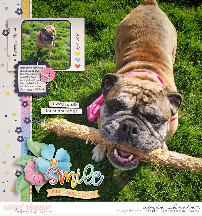 2019_4_Smile-babe