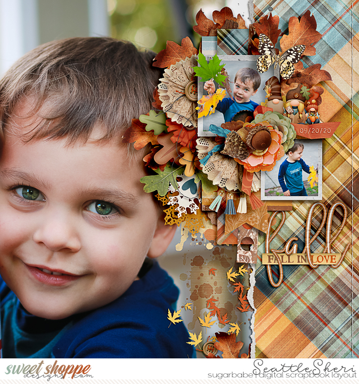 20200920_HeartKnome_CSIV8_750