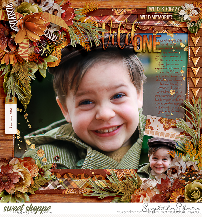20201121_WildHoliday_750