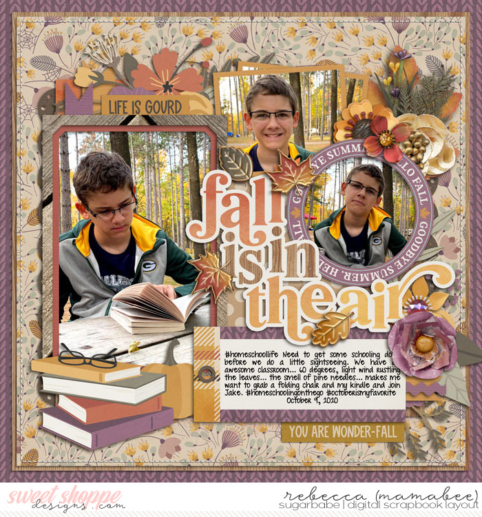 2020_10_9-school-in-woods-cschneider-fallfunpg1
