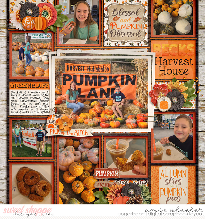 2020_10_Becks_harvest_house-babe