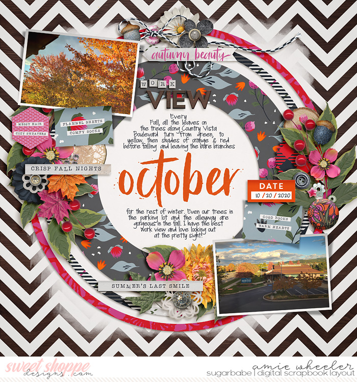 2020_10_October_Work_View-babe