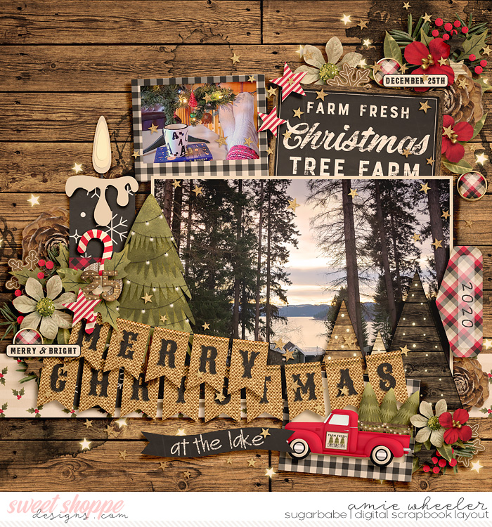 2020_12_Merry_Christmas_at_the_lake-babe