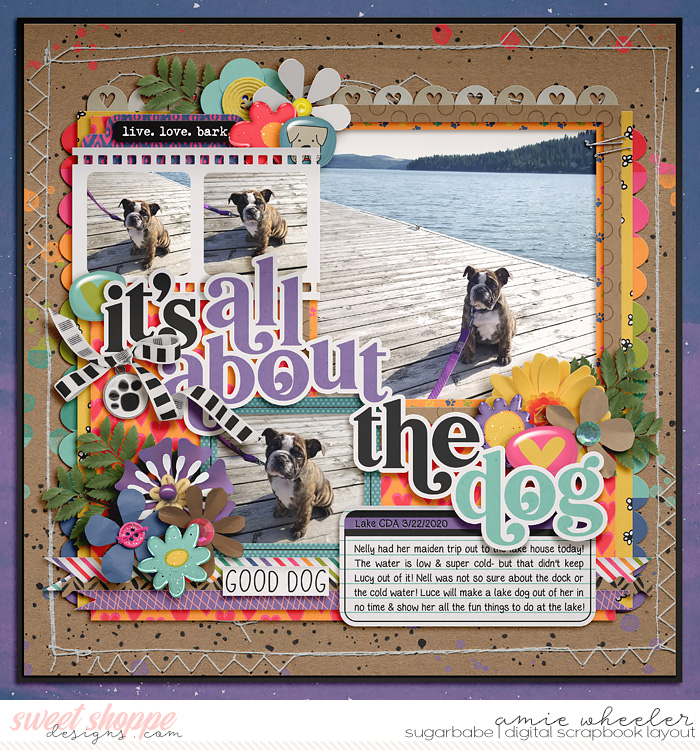 2020_3_all_about_the_dog-babe