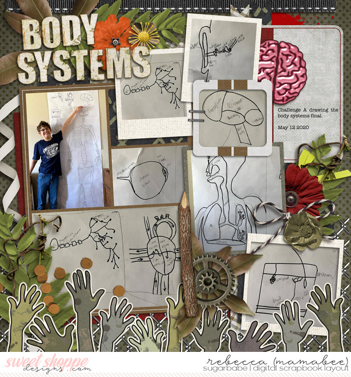 2020_5_12-body-system-drawings-cschneider-palooza427