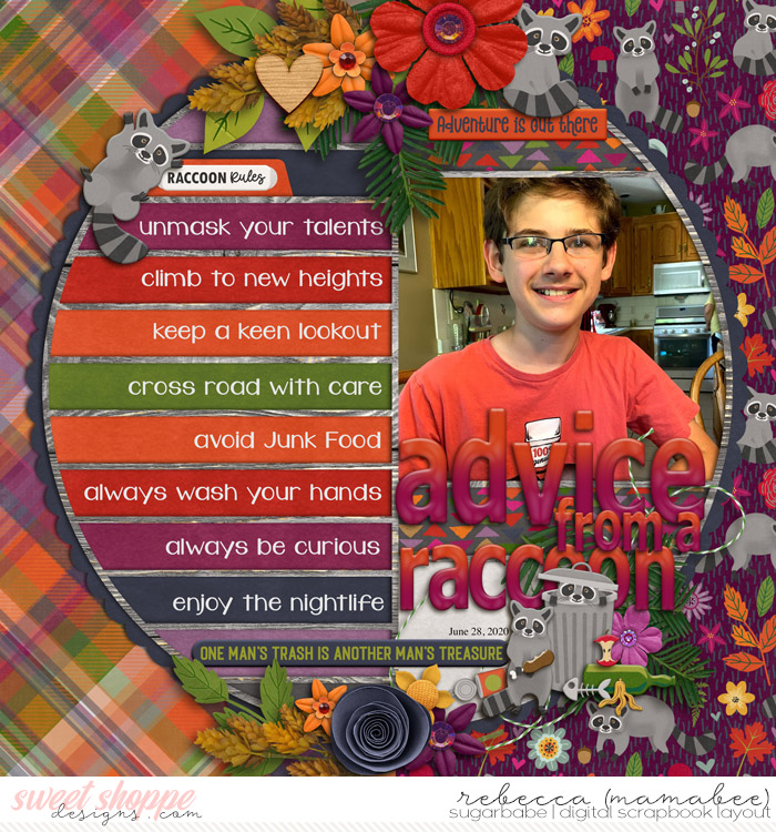 2020_6_28-raccoon-rules-cschneider-set249pgbonus