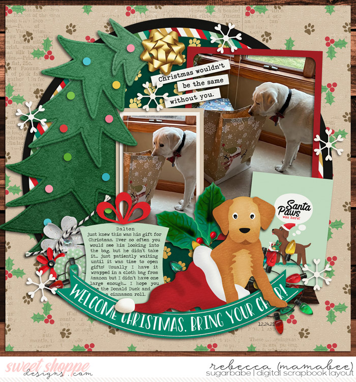 2021_12_24-dalton-gift-cschneider-HP211pg2
