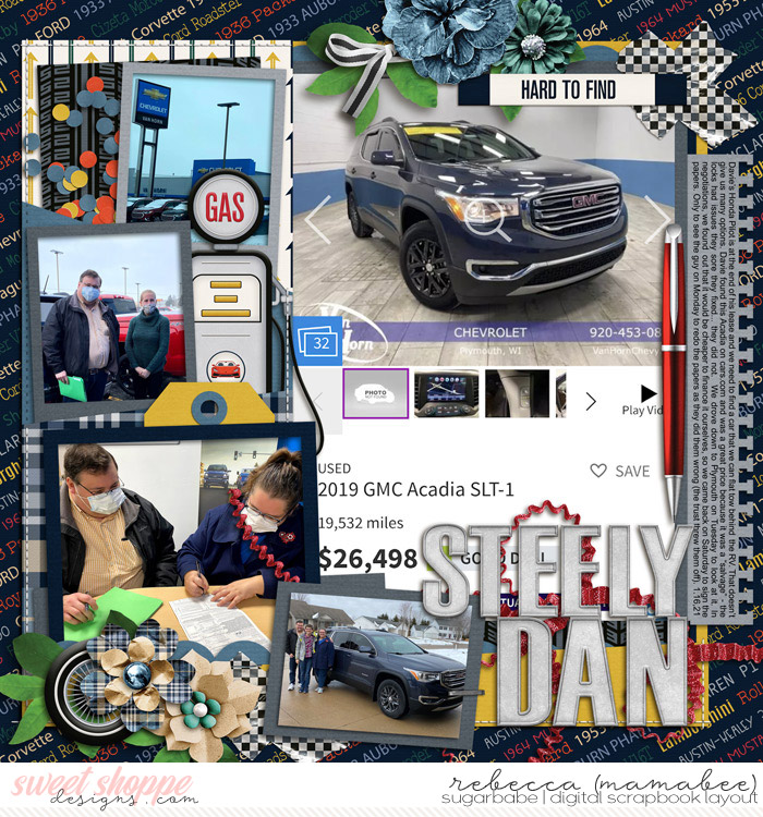 2021_1_16-steely-dan-cschneider-HP345pg2
