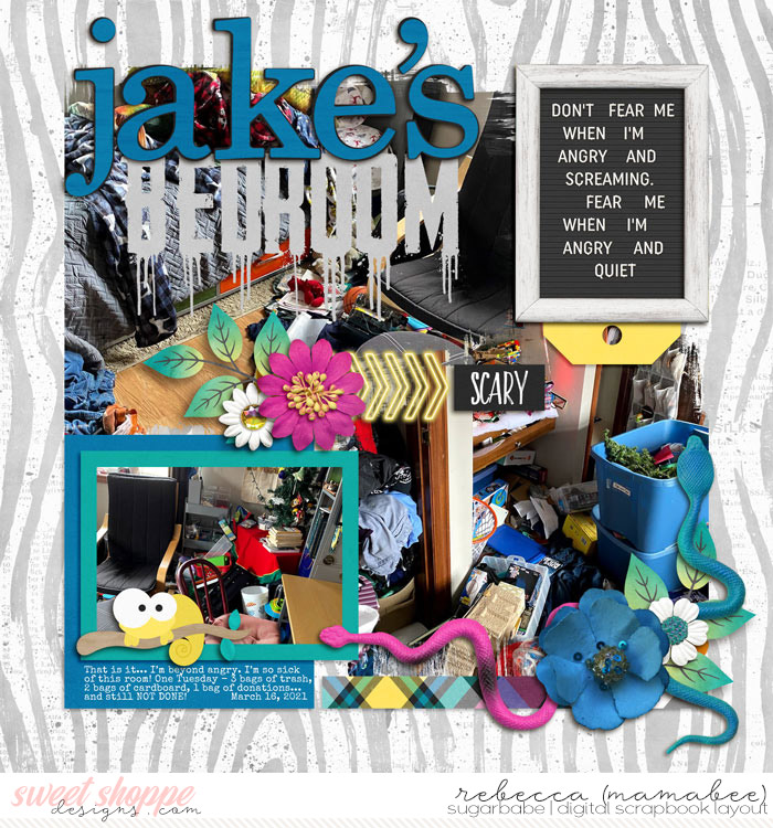 2021_3_16-Jake-bedroom-mess-ljs-blended6pak4-6