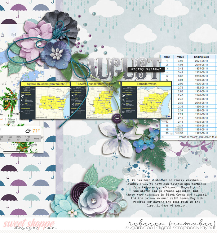 2021_8_12-bad-weather