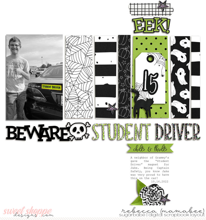2022_10_16-beware-student-driver
