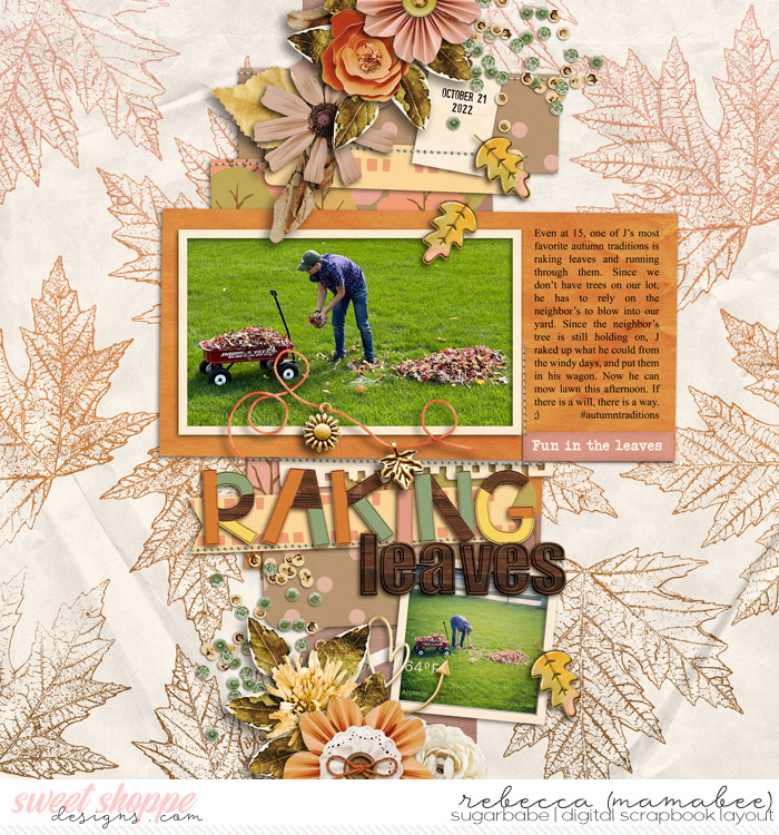 2022_10_21-Raking-leaves-ezane-ezpages27-3