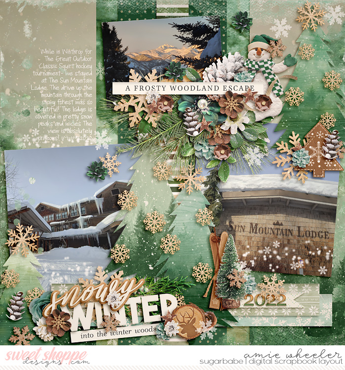 2022_1_Snowy_Winter-babe