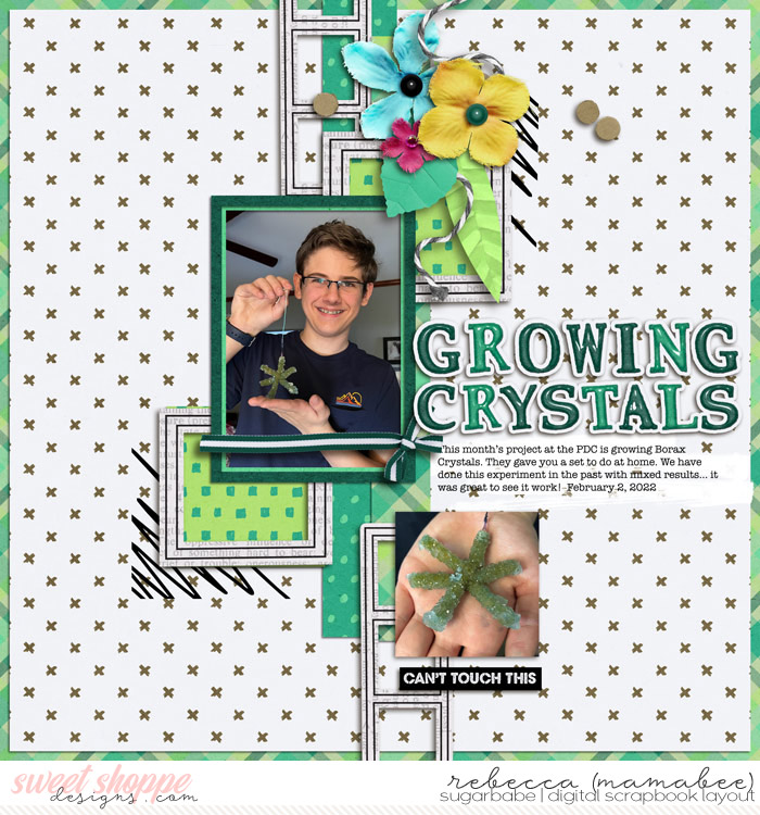 2022_2_3-growing-crystals