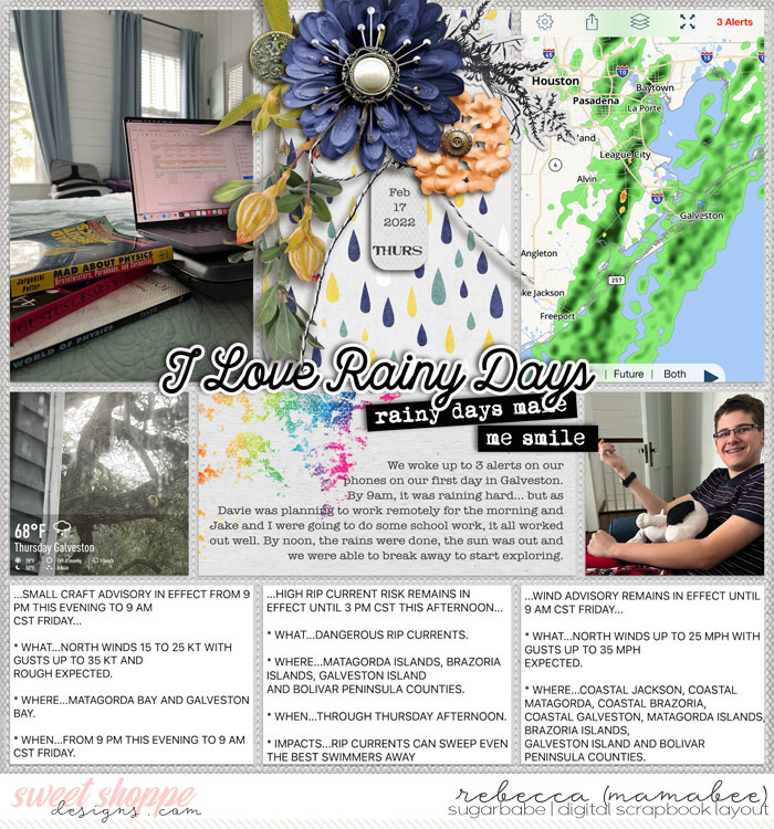 2022_2_7-raining-morning-wendyp-pageprotectors-no16-3