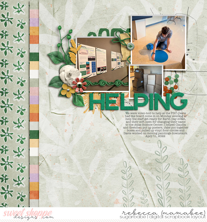 2022_4_11-helping-pdc-fdd_Botanica_tp4