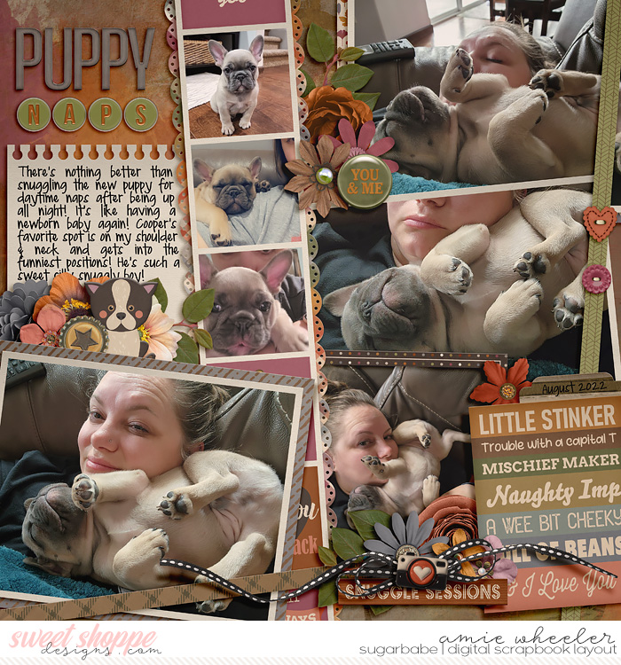 2022_8_Puppy_Naps-babe