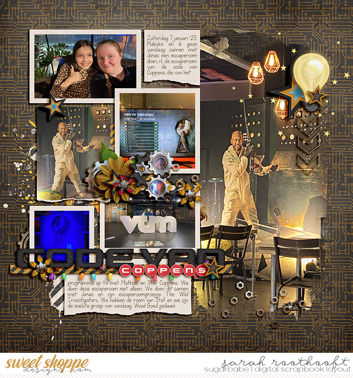 2023-003web