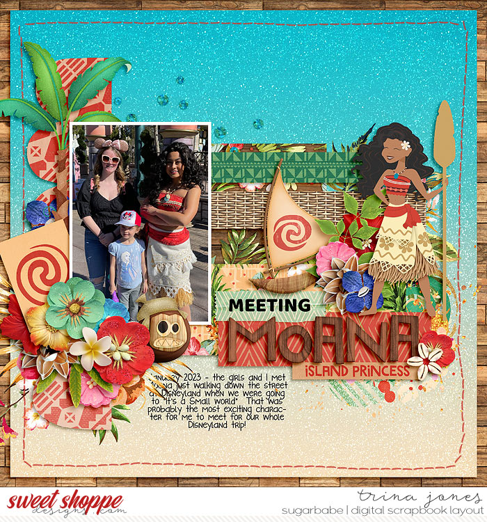 2023-01-Meeting-MoanaSB