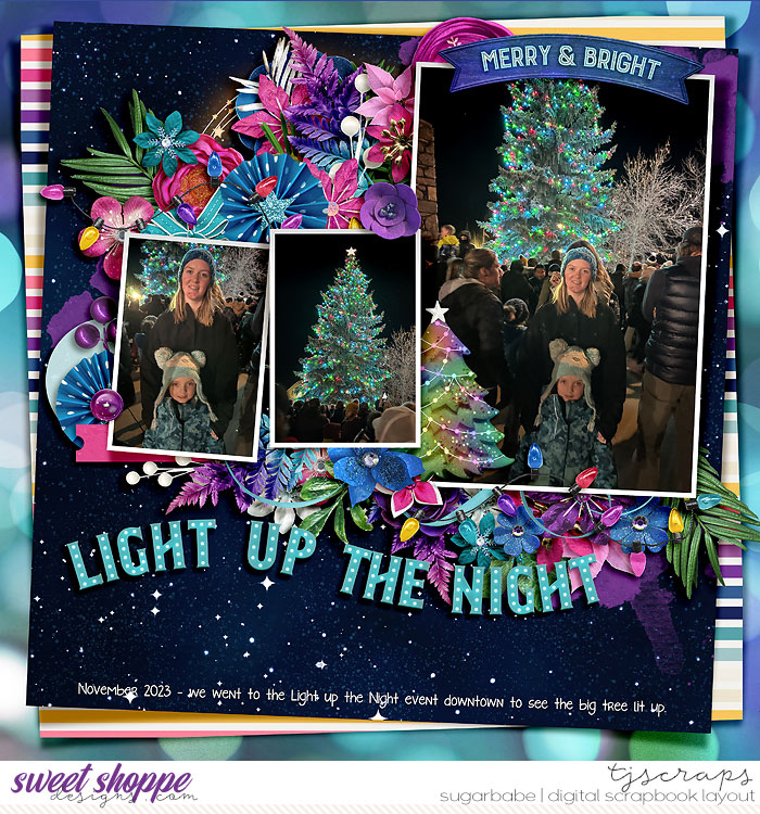 2023-11-Light-up-the-nightSB