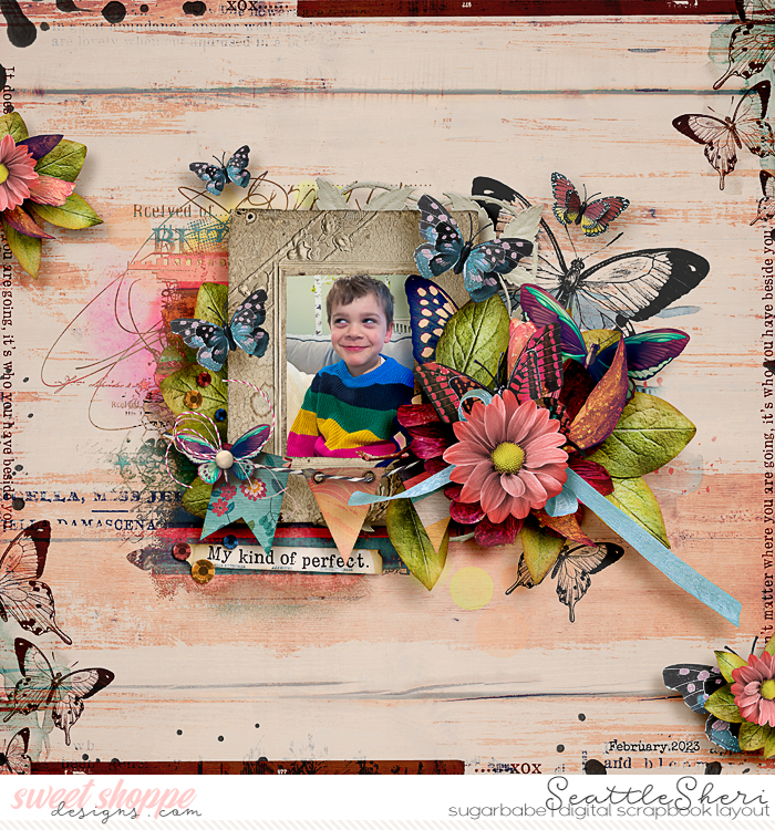 20230210_YOUGIVEMEBUTTERFLIES_750