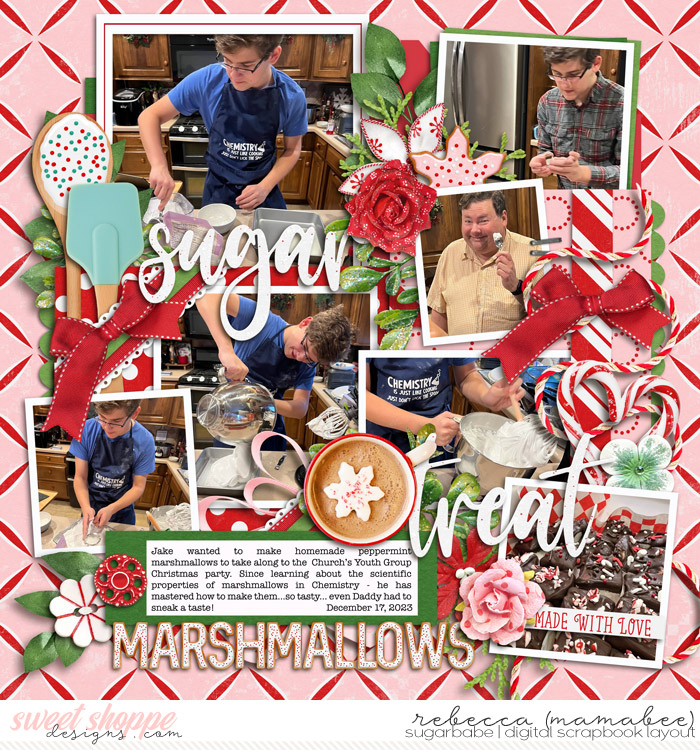 2023_12_17-homemade-marshmallows-cschneider-palooza484