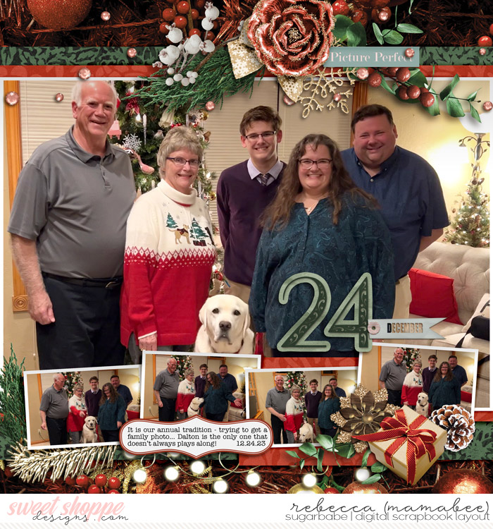 2023_12_24-christmas-photo-fdd_PicturesquePerfection_tp3