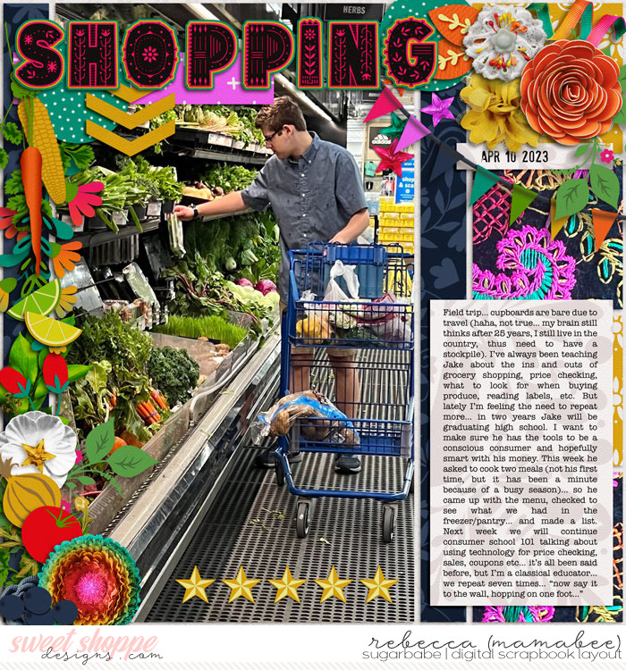 2023_4_10-grocery-food-shopping-ponytails_Showcase7_4