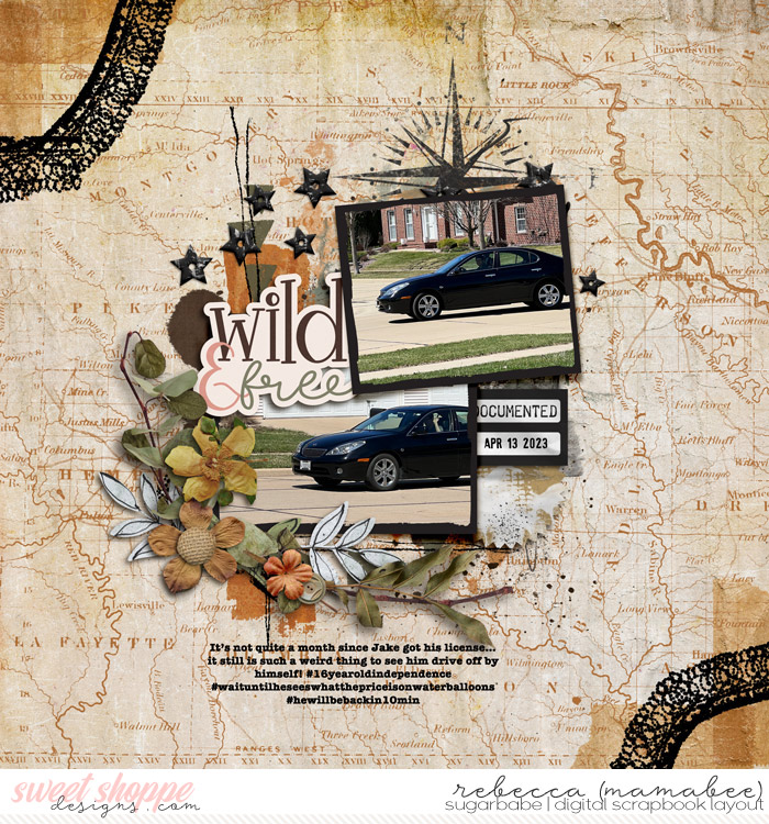 2023_4_13-driving-lbw_easypeasy_grunge_tp02