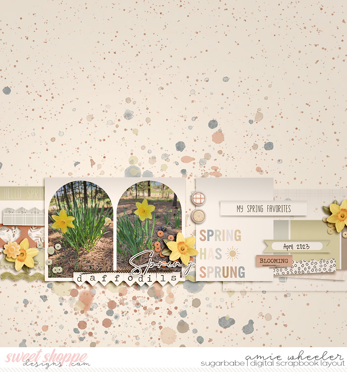 2023_4_Spring_Daffodils-babe