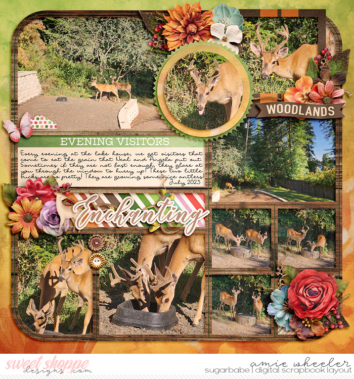 2023_7_Enchanting-babe