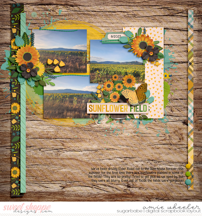 2023_8_Sunflower_Fields-babe