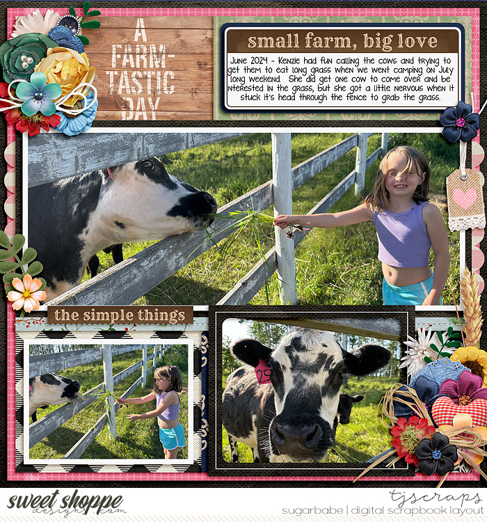 2024-06-Farm-tastic-daySB