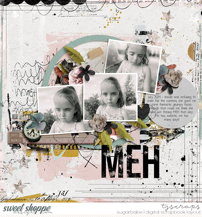 2024-07-MehSB