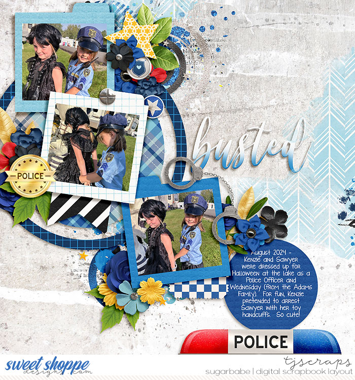 2024-08-ArrestedSB