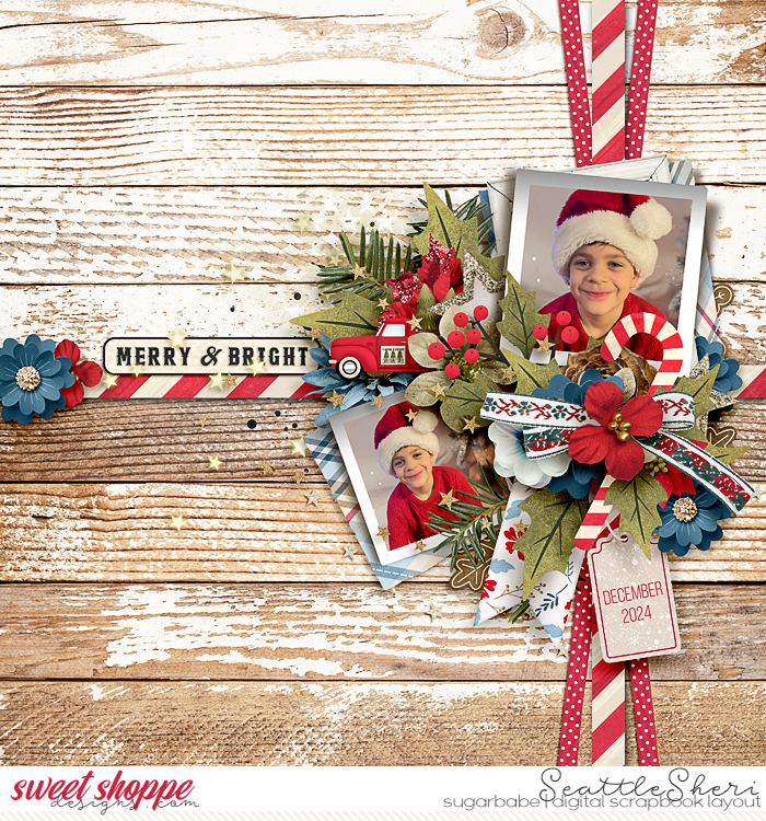 20241211_SSDWinterFreebies_