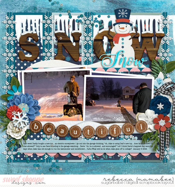 2024_1_9-j-snow-blowing-cschneider-HP438pg2