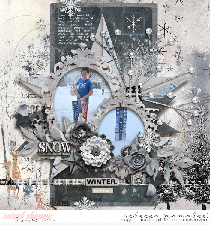 2024_1_9-ready-for-snow-tnp-STARRYNIGHT-pd3