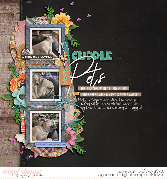 2024_1_Cuddle_Pets-babe
