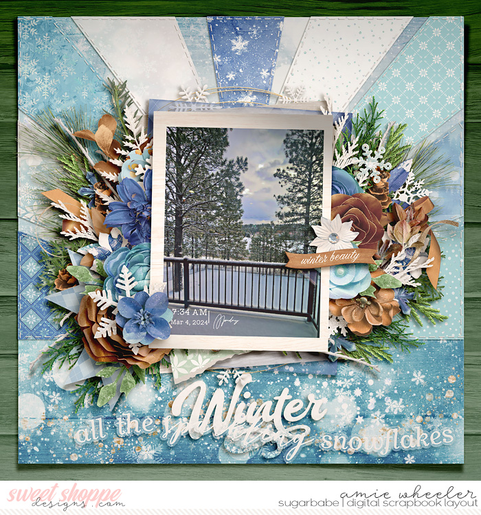 2024_3_Winter-babe