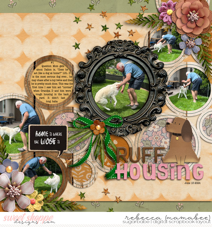 2024_6_13-ruff-housing-cschneider-HP431pg1