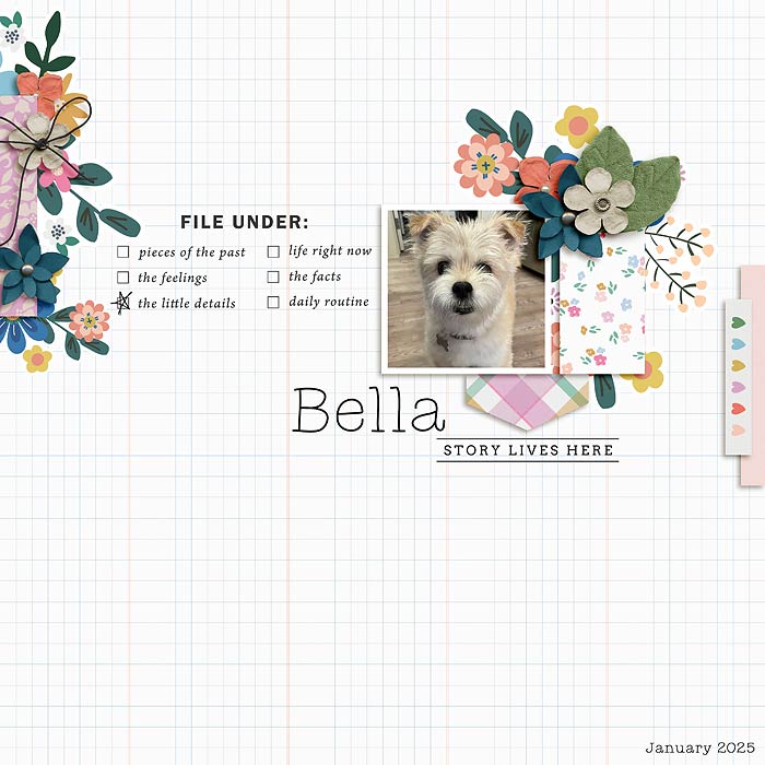 2025-01-Bella
